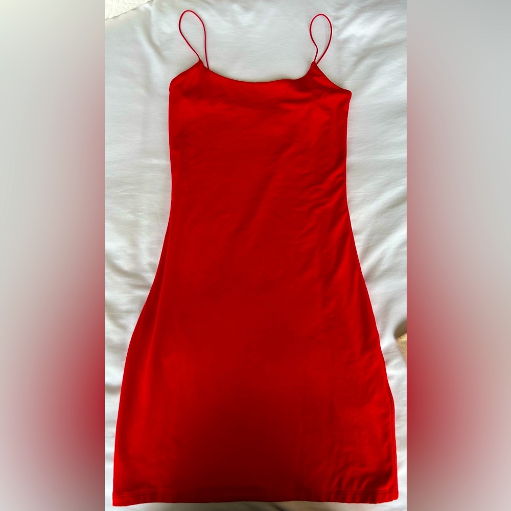 ARITZIA DRESS